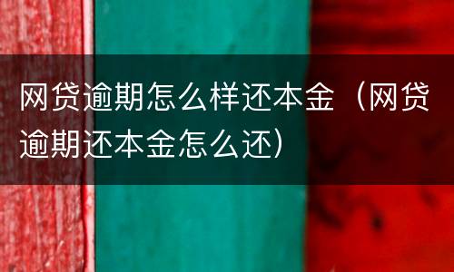 网贷逾期怎么样还本金（网贷逾期还本金怎么还）