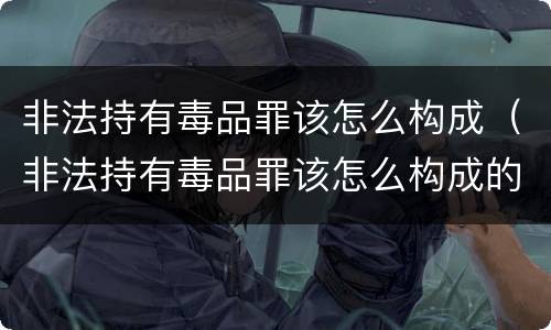 非法持有毒品罪该怎么构成（非法持有毒品罪该怎么构成的）