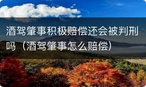 酒驾肇事积极赔偿还会被判刑吗（酒驾肇事怎么赔偿）