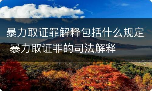 暴力取证罪解释包括什么规定 暴力取证罪的司法解释