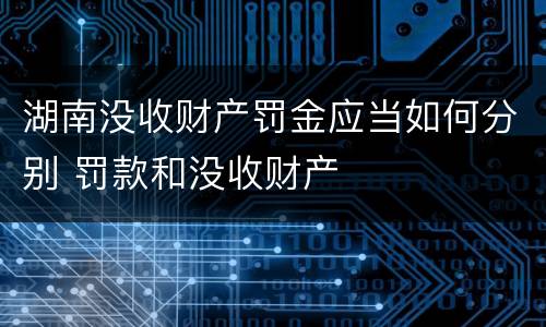 湖南没收财产罚金应当如何分别 罚款和没收财产