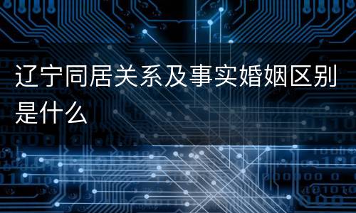 辽宁同居关系及事实婚姻区别是什么