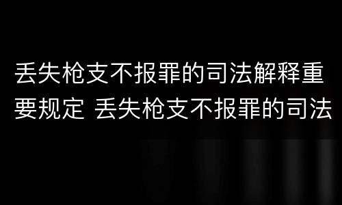 丢失枪支不报罪的司法解释重要规定 丢失枪支不报罪的司法解释重要规定是什么