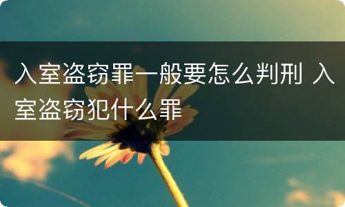 入室盗窃罪一般要怎么判刑 入室盗窃犯什么罪
