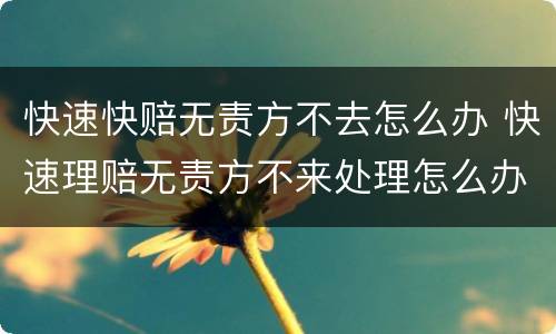 快速快赔无责方不去怎么办 快速理赔无责方不来处理怎么办