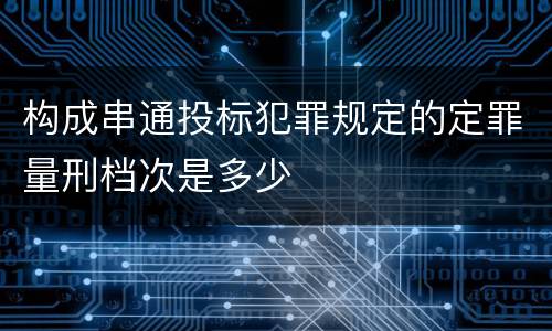 构成串通投标犯罪规定的定罪量刑档次是多少