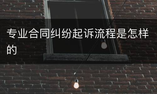 专业合同纠纷起诉流程是怎样的
