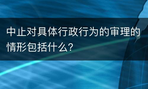 中止对具体行政行为的审理的情形包括什么？
