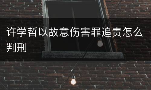 许学哲以故意伤害罪追责怎么判刑