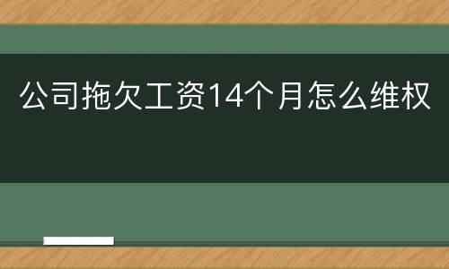 公司拖欠工资14个月怎么维权