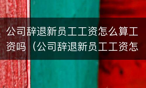 公司辞退新员工工资怎么算工资吗（公司辞退新员工工资怎么算工资吗知乎）