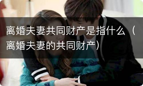 离婚夫妻共同财产是指什么（离婚夫妻的共同财产）