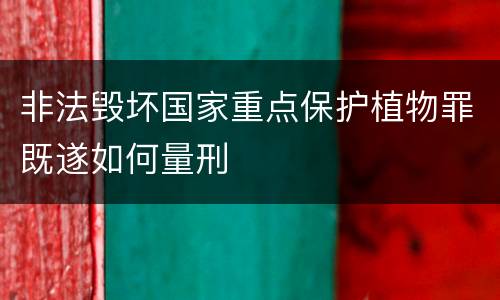 非法毁坏国家重点保护植物罪既遂如何量刑