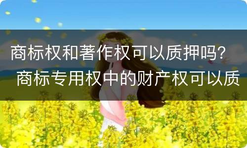 商标权和著作权可以质押吗？ 商标专用权中的财产权可以质押吗