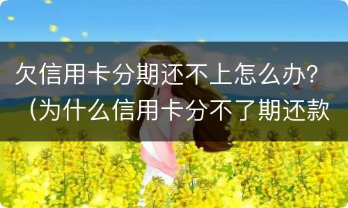 欠信用卡分期还不上怎么办？（为什么信用卡分不了期还款）