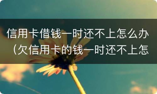 信用卡借钱一时还不上怎么办（欠信用卡的钱一时还不上怎么办）