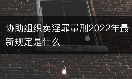 协助组织卖淫罪量刑2022年最新规定是什么