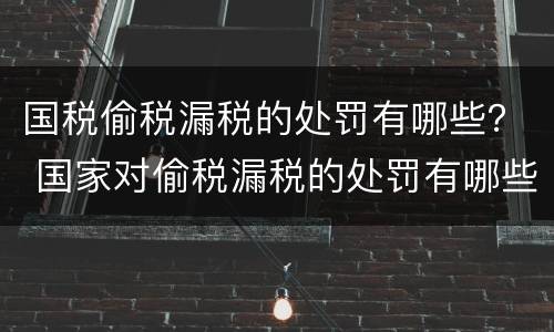 国税偷税漏税的处罚有哪些？ 国家对偷税漏税的处罚有哪些