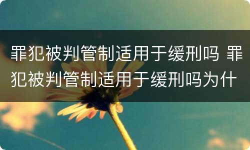 罪犯被判管制适用于缓刑吗 罪犯被判管制适用于缓刑吗为什么