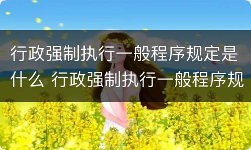 行政强制执行一般程序规定是什么 行政强制执行一般程序规定是什么法律