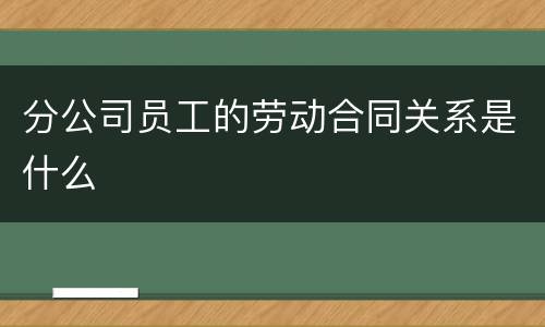 分公司员工的劳动合同关系是什么