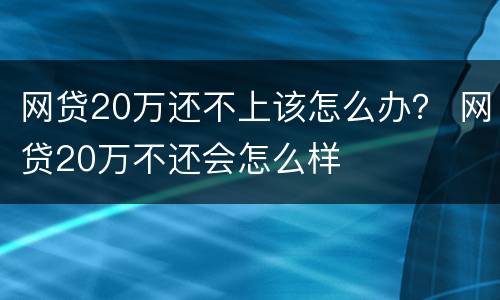 网贷20万还不上该怎么办？ 网贷20万不还会怎么样