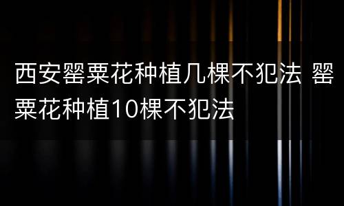 西安罂粟花种植几棵不犯法 罂粟花种植10棵不犯法