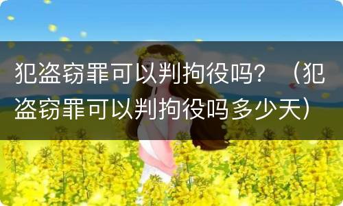 犯盗窃罪可以判拘役吗？（犯盗窃罪可以判拘役吗多少天）