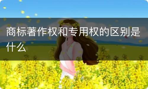 商标著作权和专用权的区别是什么