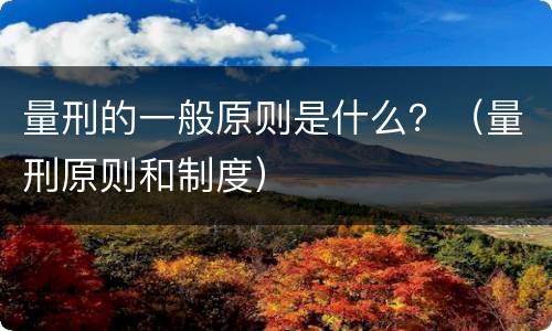 量刑的一般原则是什么？（量刑原则和制度）