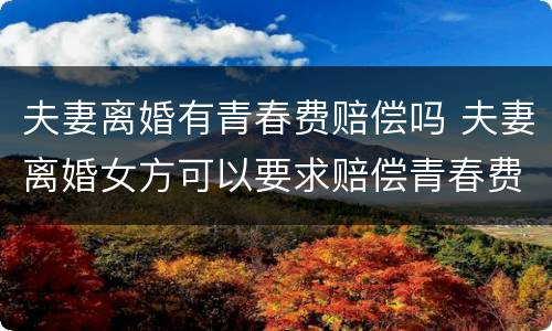 夫妻离婚有青春费赔偿吗 夫妻离婚女方可以要求赔偿青春费吗?
