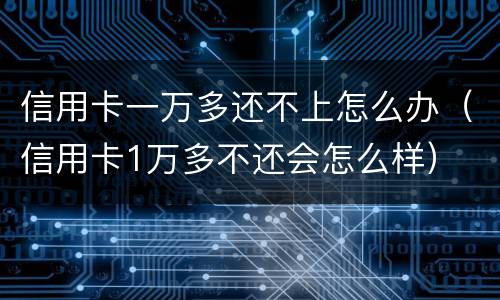 信用卡一万多还不上怎么办（信用卡1万多不还会怎么样）
