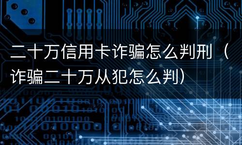 二十万信用卡诈骗怎么判刑（诈骗二十万从犯怎么判）