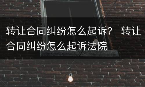 转让合同纠纷怎么起诉？ 转让合同纠纷怎么起诉法院