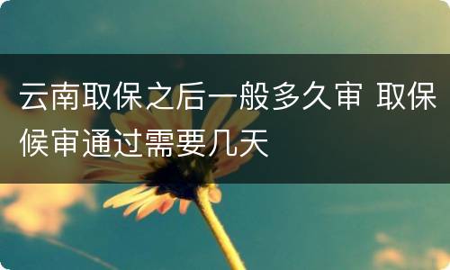 云南取保之后一般多久审 取保候审通过需要几天