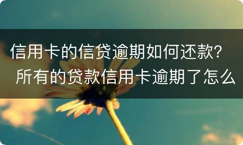 信用卡的信贷逾期如何还款？ 所有的贷款信用卡逾期了怎么办