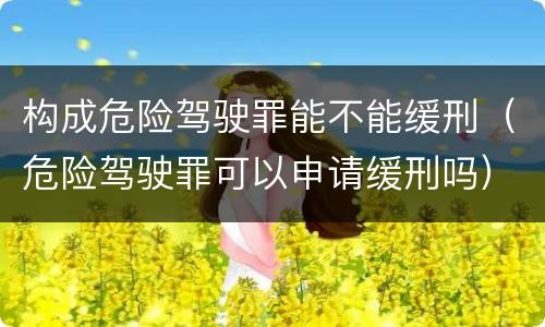 构成危险驾驶罪能不能缓刑（危险驾驶罪可以申请缓刑吗）