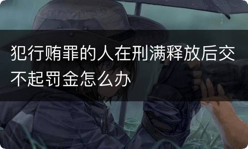 犯行贿罪的人在刑满释放后交不起罚金怎么办