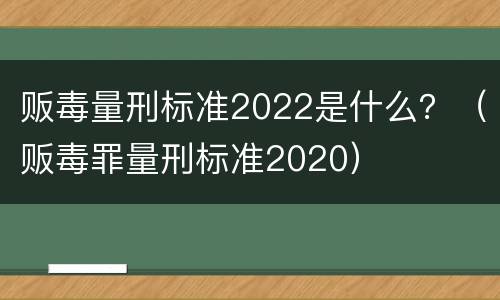 贩毒量刑标准2022是什么？（贩毒罪量刑标准2020）