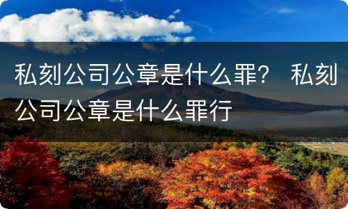 私刻公司公章是什么罪？ 私刻公司公章是什么罪行