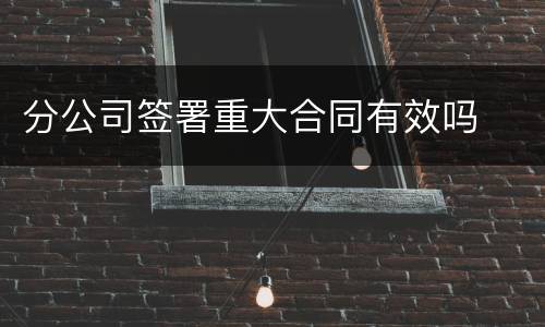 分公司签署重大合同有效吗