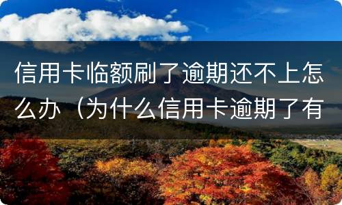 信用卡临额刷了逾期还不上怎么办（为什么信用卡逾期了有额度刷不出来）