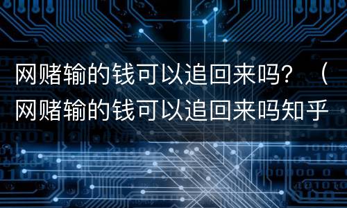 网赌输的钱可以追回来吗？（网赌输的钱可以追回来吗知乎）