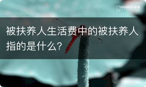 被扶养人生活费中的被扶养人指的是什么？