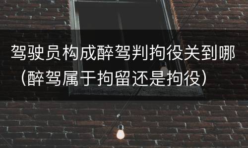 驾驶员构成醉驾判拘役关到哪（醉驾属于拘留还是拘役）
