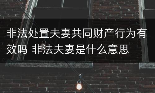 非法处置夫妻共同财产行为有效吗 非法夫妻是什么意思