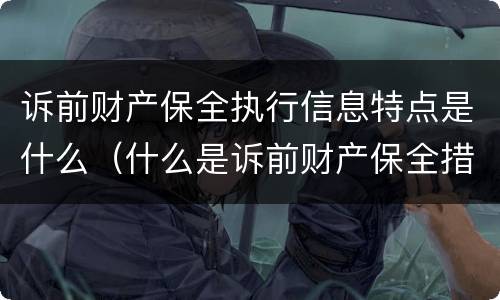 诉前财产保全执行信息特点是什么（什么是诉前财产保全措施）