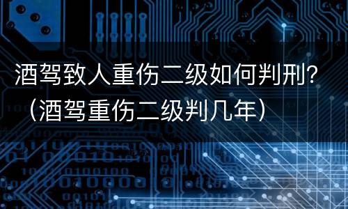 酒驾致人重伤二级如何判刑？（酒驾重伤二级判几年）
