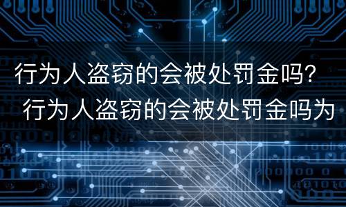 行为人盗窃的会被处罚金吗？ 行为人盗窃的会被处罚金吗为什么