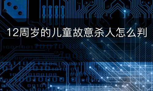12周岁的儿童故意杀人怎么判